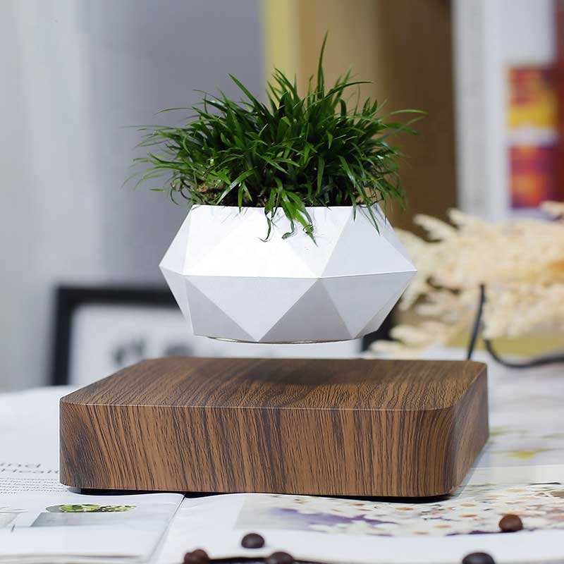 Levitating Plant Pot