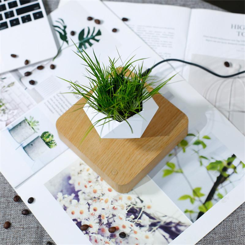 Levitating Plant Pot