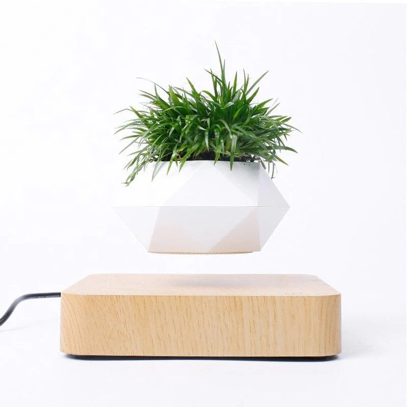 Levitating Plant Pot