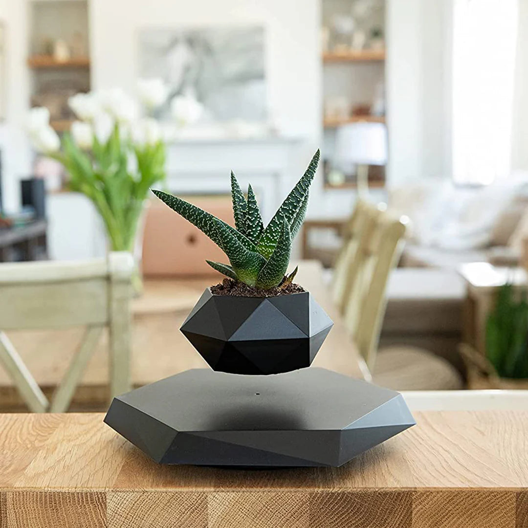 Levitating Plant Pot